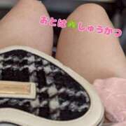 ヒメ日記 2026/05/20 14:39 投稿 おとは しゅうかつ倶楽部