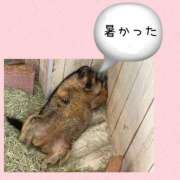 ヒメ日記 2026/07/22 18:44 投稿 きょうか 川崎・東横人妻城