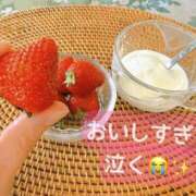 ヒメ日記 2026/05/18 09:46 投稿 菊名はつね ABC 岩手ソープ