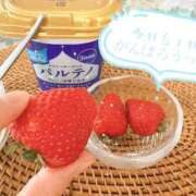 ヒメ日記 2026/05/28 08:46 投稿 菊名はつね ABC 岩手ソープ