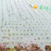 ヒメ日記 2026/05/29 07:31 投稿 菊名はつね ABC 岩手ソープ