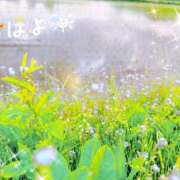 ヒメ日記 2026/06/07 06:16 投稿 菊名はつね ABC 岩手ソープ