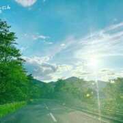 ヒメ日記 2026/06/14 05:01 投稿 菊名はつね ABC 岩手ソープ