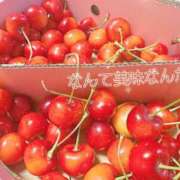 ヒメ日記 2026/06/22 06:16 投稿 菊名はつね ABC 岩手ソープ
