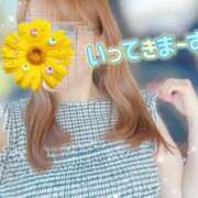 ヒメ日記 2026/07/07 10:31 投稿 菊名はつね ABC 岩手ソープ
