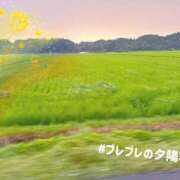ヒメ日記 2026/07/28 20:16 投稿 菊名はつね ABC 岩手ソープ