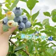 ヒメ日記 2026/07/30 08:46 投稿 菊名はつね ABC 岩手ソープ