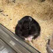 ヒメ日記 2026/06/29 22:41 投稿 にな The White（ザ ホワイト）