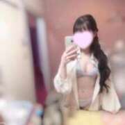 ヒメ日記 2026/06/15 09:28 投稿 ヒメアマエビ　姫甘海老 女の子市場