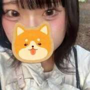 ヒメ日記 2026/07/09 21:35 投稿 ぼたん 横浜人妻花壇本店