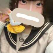 ぼたん 今日もっ！ 横浜人妻花壇本店