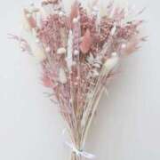 新人・綾芽(あやめ) W様♡ グランドオペラ福岡