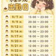 ヒメ日記 2026/09/03 12:15 投稿 小倉 BBW札幌店