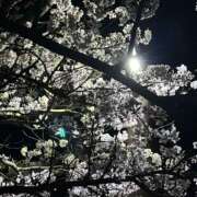 ヒメ日記 2026/05/11 12:48 投稿 みる Ange Spa(アンジュスパ)