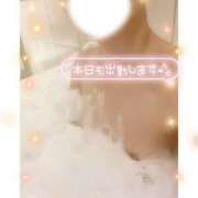 ヒメ日記 2026/07/07 14:22 投稿 愛莉-あいり 熟女10000円デリヘル横浜