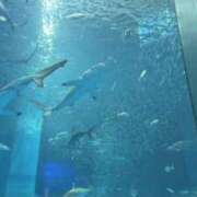 ヒメ日記 2026/08/14 13:21 投稿 はづき アクトレス池袋店(ユメオト)
