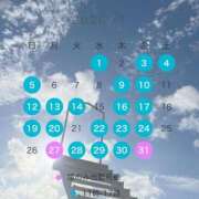 ★そな 次回30日🌸 Le CELINU（ル・セリーヌ）