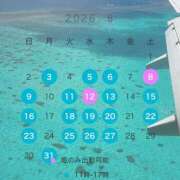 ★そな 8月のスケジュール🩵 Le CELINU（ル・セリーヌ）