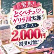 ヒメ日記 2026/09/21 14:25 投稿 ひな 特別授業