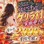 ひな お値段以上🎶 特別授業