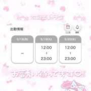 ヒメ日記 2026/05/14 21:54 投稿 キナ 川崎美女革命