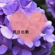 ヒメ日記 2026/06/08 17:51 投稿 りおん One More奥様　蒲田店