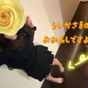ヒメ日記 2026/08/13 17:49 投稿 Uika 新宿M性感フェチ倶楽部タントラ