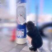 ヒメ日記 2026/05/17 15:28 投稿 リリカ RING