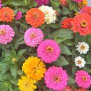 ヒメ日記 2026/06/07 22:48 投稿 まこと わちゃわちゃ密着リアルフルーちゅ西船橋