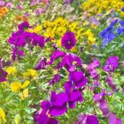 ヒメ日記 2026/06/08 11:38 投稿 まこと わちゃわちゃ密着リアルフルーちゅ西船橋