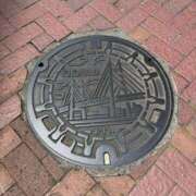 ヒメ日記 2026/05/11 10:13 投稿 こうめ 角海老石亭