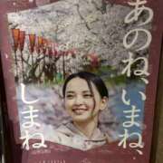 ヒメ日記 2026/05/14 08:44 投稿 こうめ 角海老石亭