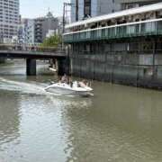ヒメ日記 2026/05/15 22:20 投稿 こうめ 角海老石亭