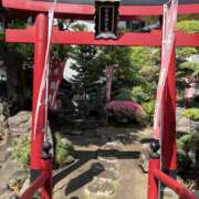 ヒメ日記 2026/05/17 08:24 投稿 こうめ 角海老石亭