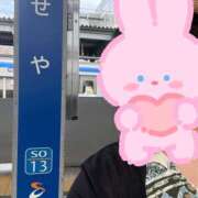 ヒメ日記 2026/05/20 17:31 投稿 こうめ 角海老石亭