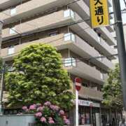 ヒメ日記 2026/05/26 12:00 投稿 こうめ 角海老石亭