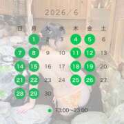 ヒメ日記 2026/05/31 12:35 投稿 こうめ 角海老石亭
