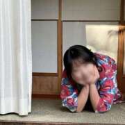 ヒメ日記 2026/06/15 08:50 投稿 こうめ 角海老石亭
