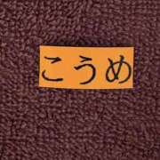 ヒメ日記 2026/06/22 09:19 投稿 こうめ 角海老石亭