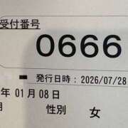 ヒメ日記 2026/07/28 11:55 投稿 こうめ 角海老石亭