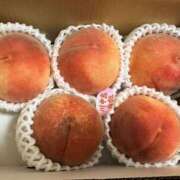 ヒメ日記 2026/08/30 13:00 投稿 こうめ 角海老石亭