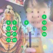ヒメ日記 2026/09/06 17:00 投稿 こうめ 角海老石亭