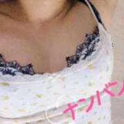 ヒメ日記 2026/07/05 09:45 投稿 ナンバン ドMな奥さん 日本橋店