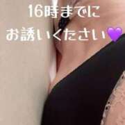 ヒメ日記 2026/09/23 14:15 投稿 つきみ 熟女家 ミナミエリア店