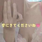 ヒメ日記 2026/05/15 12:06 投稿 秋本鈴音(あきもとすずね) 九州熟女　熊本店