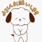 ヒメ日記 2026/05/25 11:56 投稿 秋本鈴音(あきもとすずね) 九州熟女　熊本店