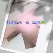ヒメ日記 2026/06/11 15:55 投稿 秋本鈴音(あきもとすずね) 九州熟女　熊本店