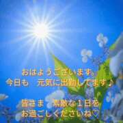 ヒメ日記 2026/06/12 11:16 投稿 秋本鈴音(あきもとすずね) 九州熟女　熊本店