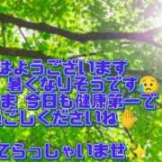 ヒメ日記 2026/07/08 08:06 投稿 秋本鈴音(あきもとすずね) 九州熟女　熊本店