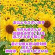 ヒメ日記 2026/07/25 11:30 投稿 秋本鈴音(あきもとすずね) 九州熟女　熊本店